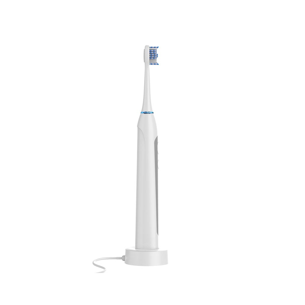 Electric toothbrush (3)